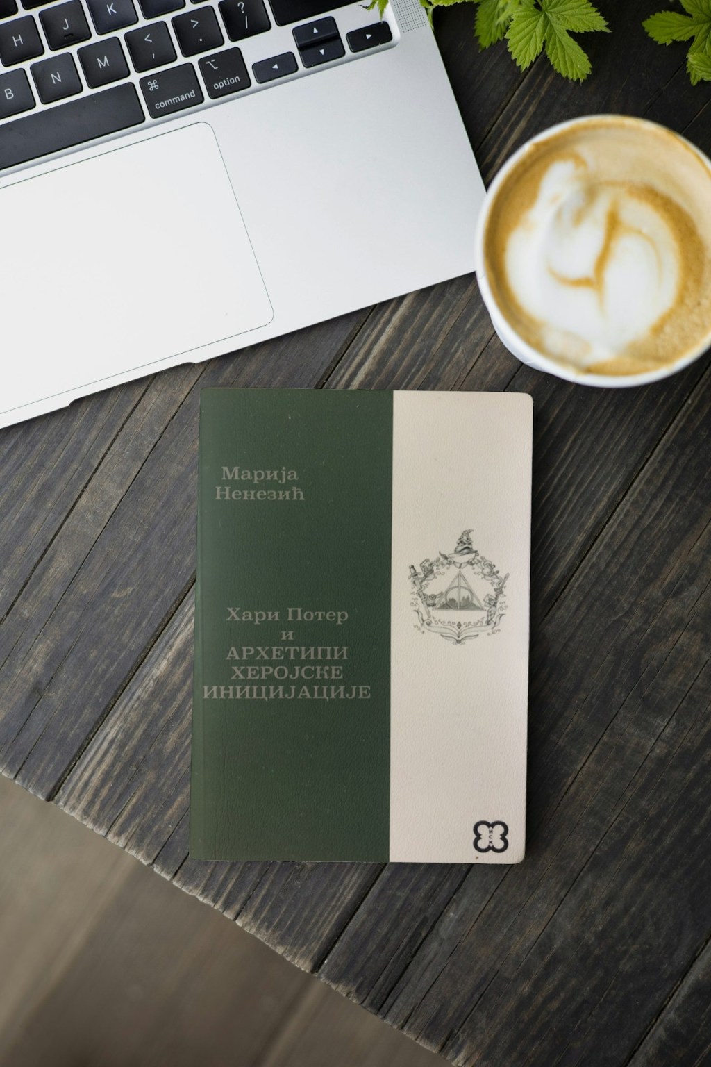 Hari Poter i arhetipi herojske inicijacije – Besplatno preuzmite knjigu